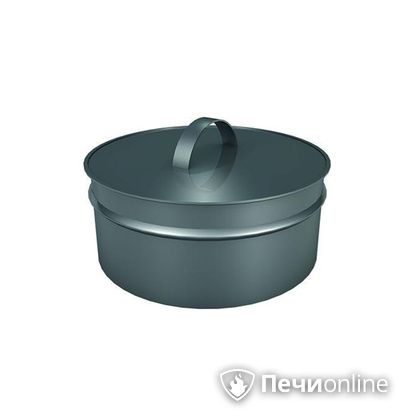 Заглушки Теплов и Сухов Заглушка ревизии Термо-Р 304 0.5 D220(120) в Великом Новгороде