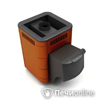 Дровяная банная печь TMF Оса Carbon терракота дверь антрацит в Великом Новгороде